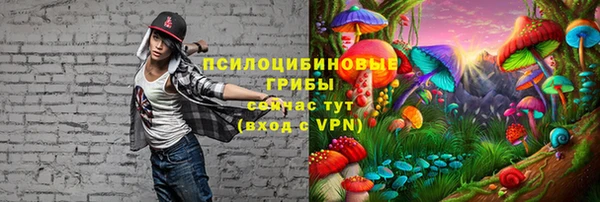 хмурый Зеленодольск