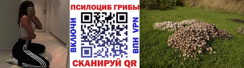 цены   МЕГА маркетплейс  Псилоцибиновые грибы Psilocybe  Павловский Посад 