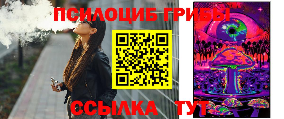 Галлюциногенные грибы Psilocybe Павловский Посад